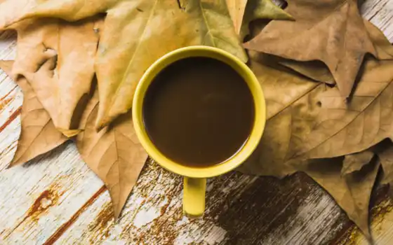 чашка, кофе, mac, пост, осень, лист, исследуйте