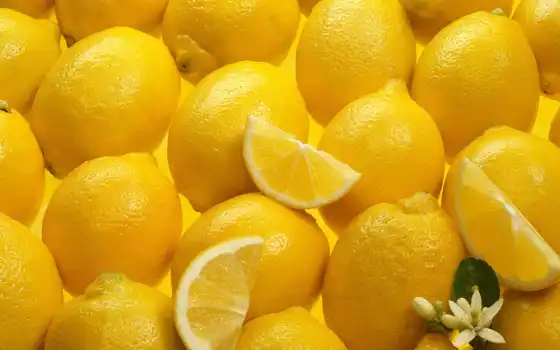 lemon, yellow, many, zheltai, meal, текстура, kais