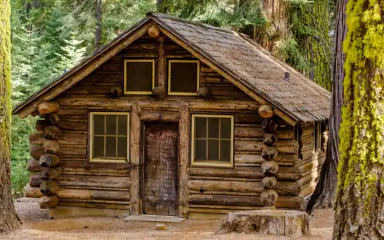 дом, деревянный, лес