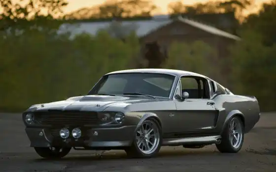 shelby, ford, mustang, eleanor, car