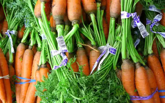 обои на рабочий стол, красивые картинки, картинки для ipad, обои для android