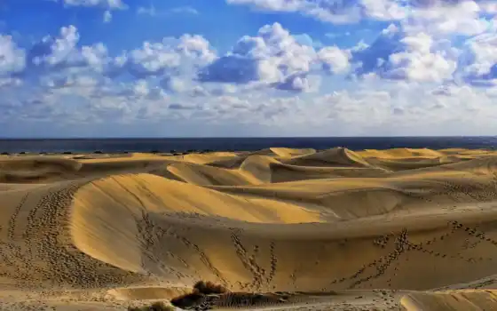 пустыня, песок, вид, место, арена, чулла, жизнь