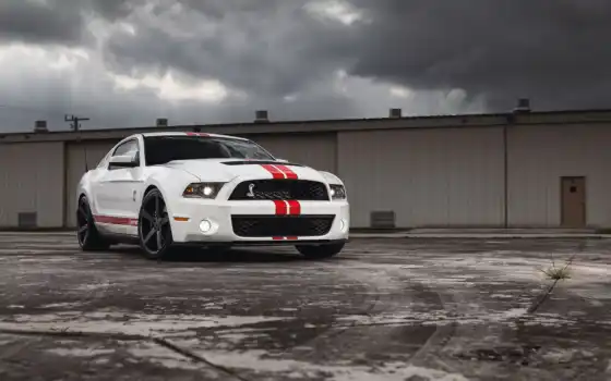 shelby, mustang, ford, car, shelbit