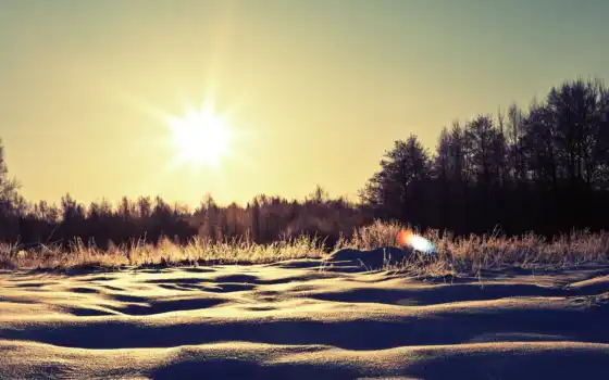 зима, горничная, солнечная, природа, снег, шнэ, бим, зимнее тег,