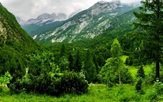 природа, горы, швейцария, разделе, часть, 
