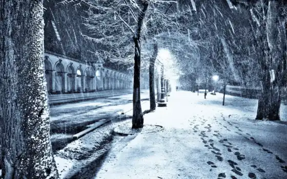 снег, ночь, улица, город