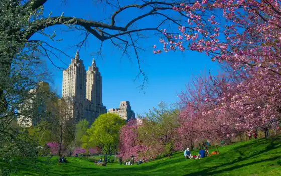 парк, город, новый, йорк, весна