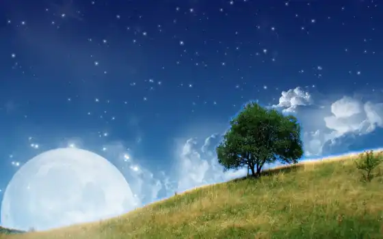 звезды, свободные, облака, звезды, деревья,