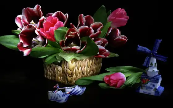 цветы, корзина, тюльпан