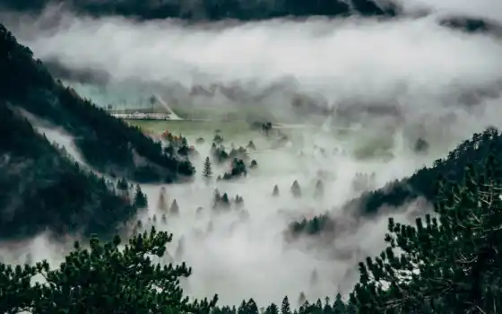 гора, туман, лес, дерево