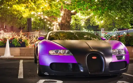 bugatti, veyron, фиолетовый, черный,