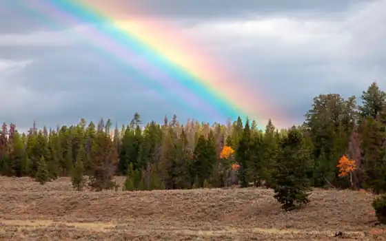 обои на рабочий стол, красивые картинки, картинки для ipad, обои для android