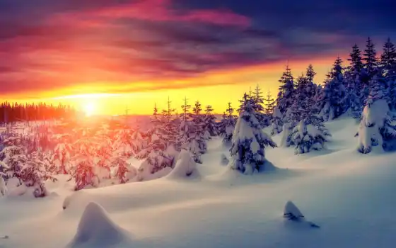 зима, жизнь, пейзаж, закат, белый,