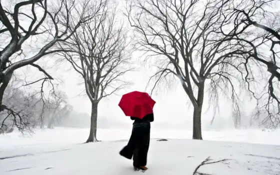 зонтик, снег, дерево, девушка, сакур