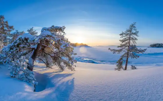 финляндия, hamin, снег, winter, дерево