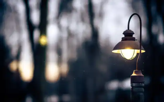 фонарь, фокус, закат, деревья