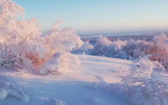 зима, россия, фанкарт, пейзаж
