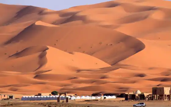 песок, эрг, пустыня, дюн, родословный