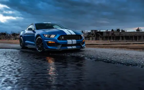 ford, mustang, shelby, car