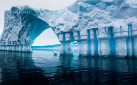 таяние, антарктида, ученый, льдов, ледник, климат, проблема, с севера, северо-западная, антарктическая