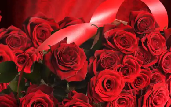 март, martha, qadınlar, красные, розы, красными, лентами, təbriki, gözəl, 