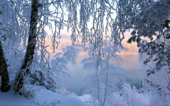 зима, лес и тишина, горный