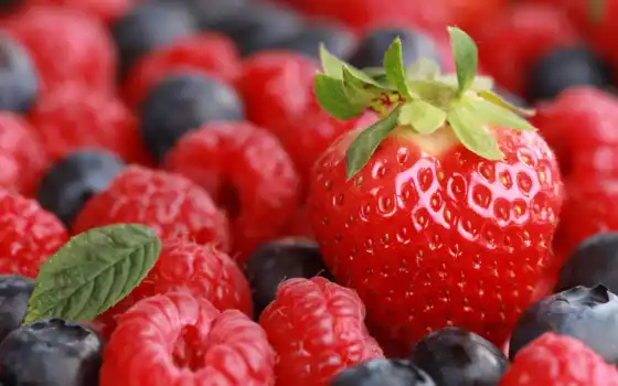 плод, ягода, сельхоз