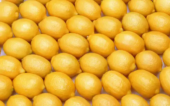цитрус, лимоны, предложений, купить, текстура, лимон, оптом, 