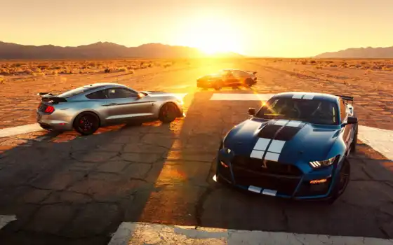 ford, mustang, shelby, new