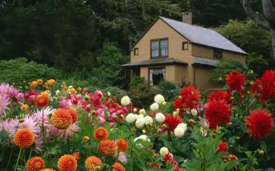 обои на рабочий стол, красивые картинки, картинки для ipad, обои для android