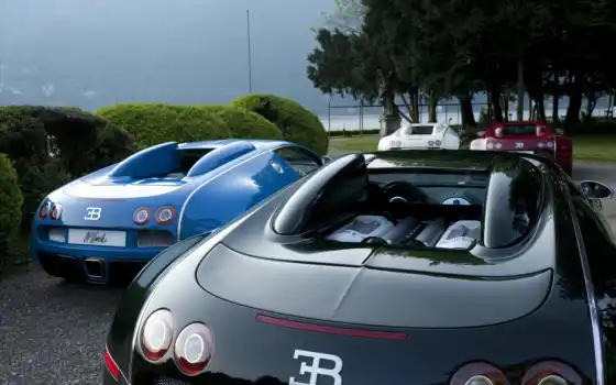 entenaire, bleu, bugatti, veyron red, люкс, голубые, bugatti, veyron