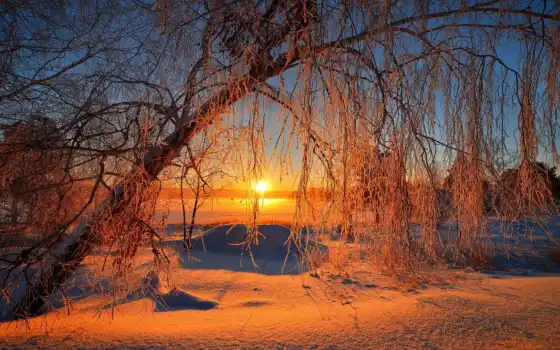 зима, солнце, разум, пейзаж, дерево, затвор, деревья, подъем,