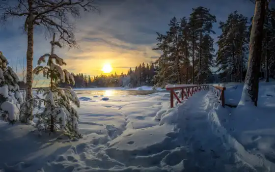 финляндию, зиму, закулис, лес, пейзаж, возвышение, коскелонти, фор