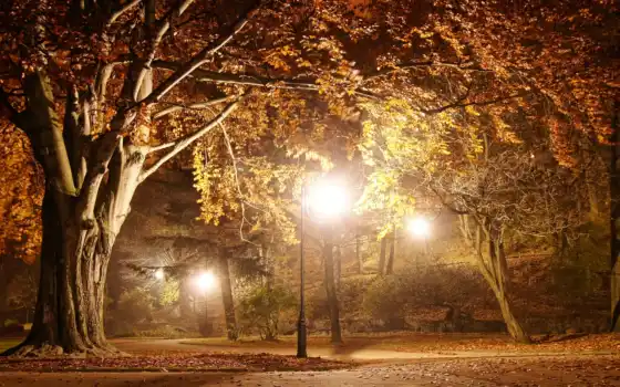 осень, ночь, парк