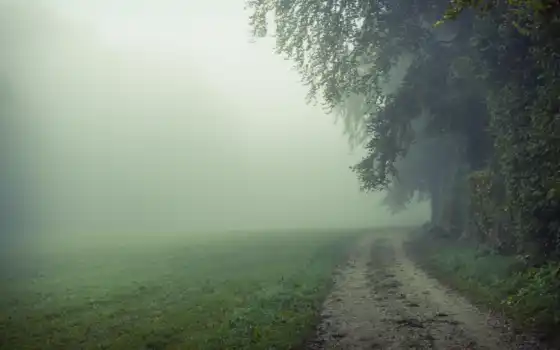 туман, природа, утро, поле, дорога, лес, 
