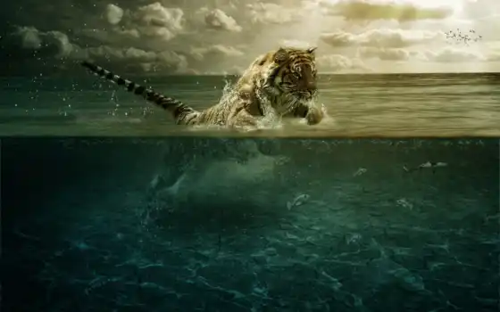тигр, искусство, животные, цифровые технологии, подводный мир, вода, море, рыбы, океан