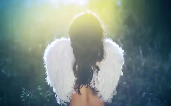 ангел, ангел,