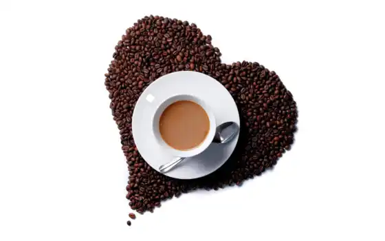 кофе, семя, чашка
