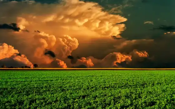 поле, красивый, совершенн, зелёный, облако