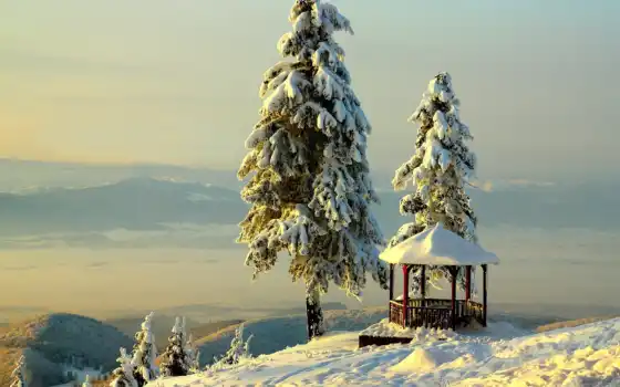 зима, дерево, горный, пейзаж, взгляд