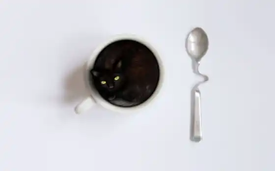 кот, чашка, ложка, животное, кофе