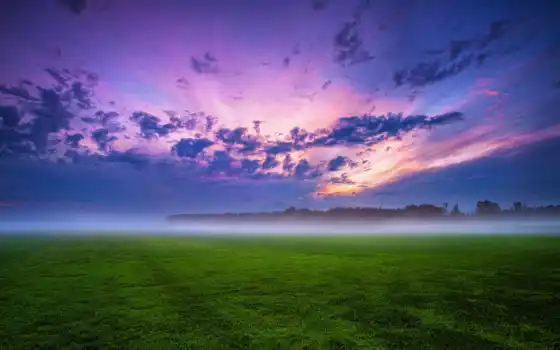 небо, закат, трава, поле, облако