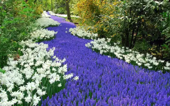 обои на рабочий стол, красивые картинки, картинки для ipad, обои для android