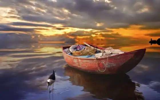 обои на рабочий стол, красивые картинки, картинки для ipad, обои для android