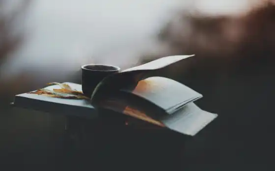 книга, глубина, цвет, кофе, лист