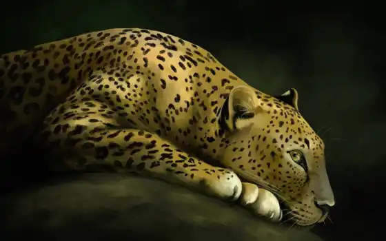 леопард, кот, искусство, животное, иллюстрация