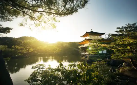 kinkaku, kyoto, япония, pavilion, золотистый, новости, japanese, храм, 