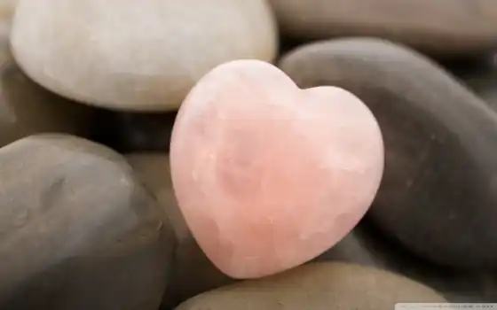 сердце, камни, розовый, макро