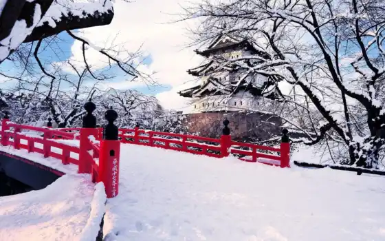 японки, город, молодежь, зиму