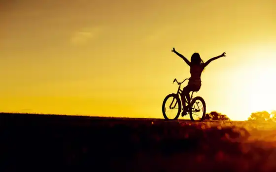 велосипед, девушка, закат, фон, настроение, свет, собака, спорт, вид